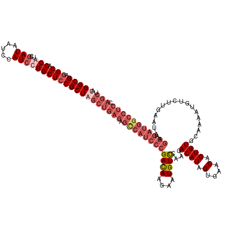 secondary structure