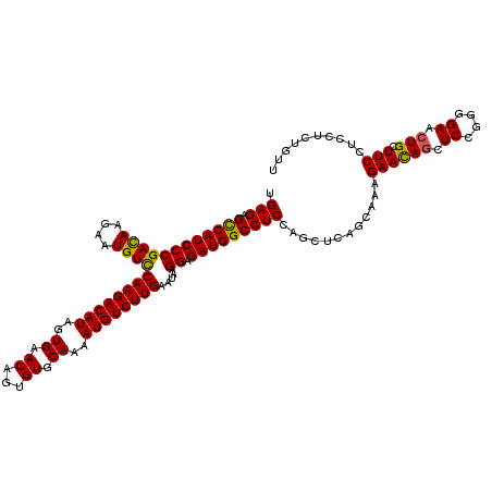 secondary structure