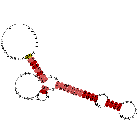 secondary structure