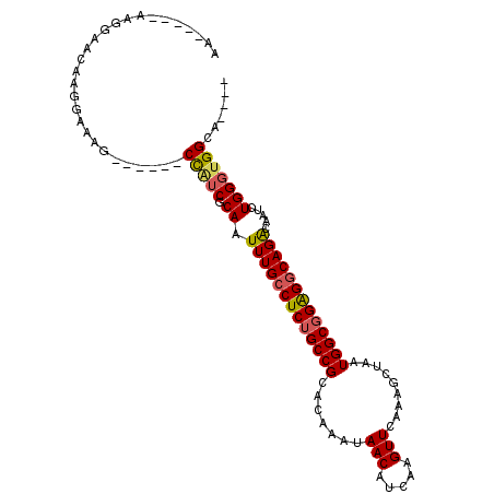 secondary structure
