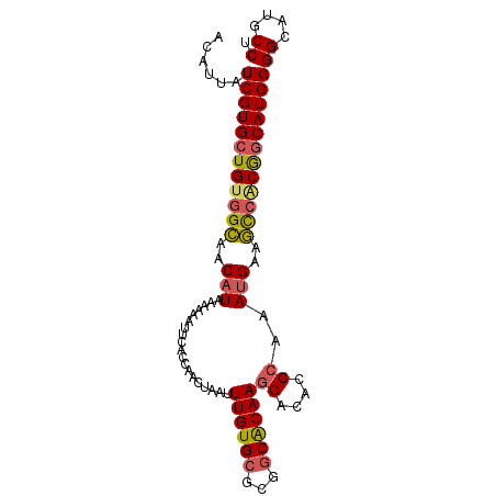 secondary structure
