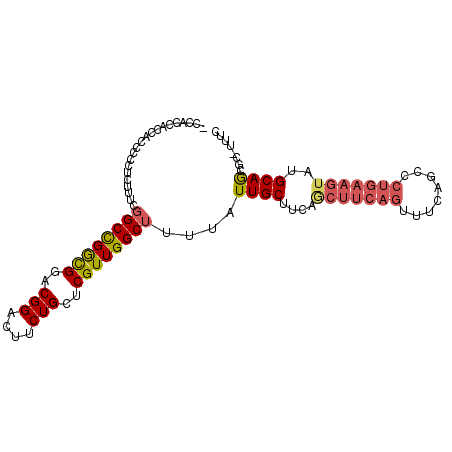 secondary structure