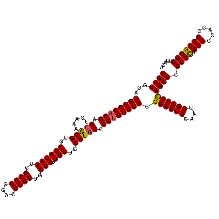 secondary structure