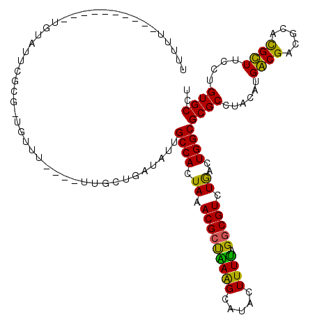 secondary structure