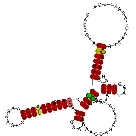 secondary structure