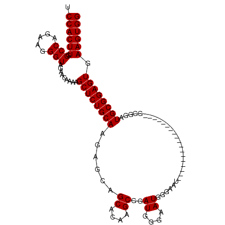 secondary structure