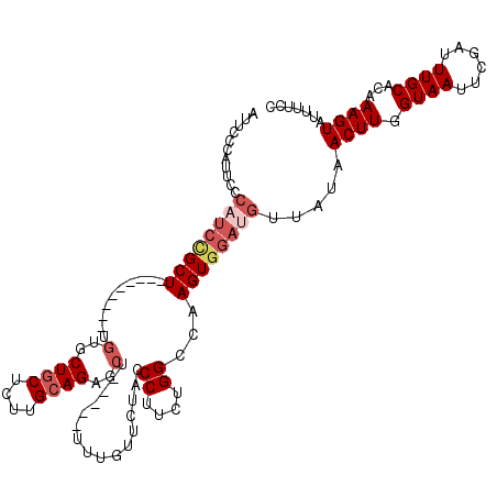 secondary structure