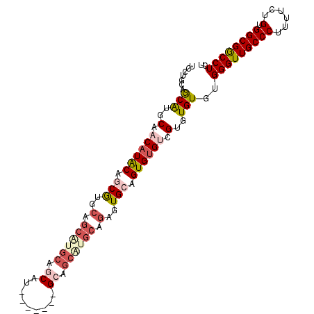 secondary structure