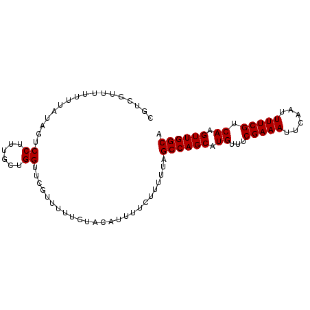 secondary structure