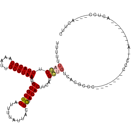 secondary structure