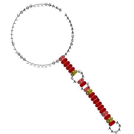 secondary structure