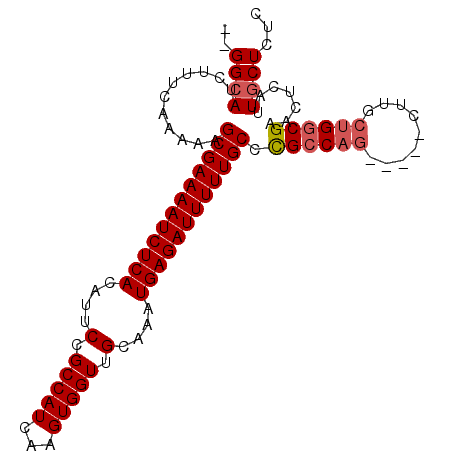 secondary structure