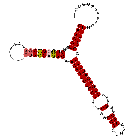 secondary structure
