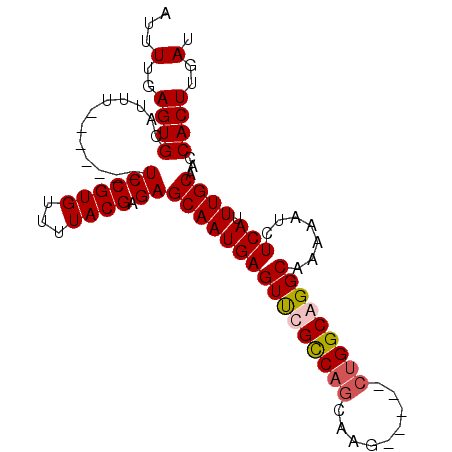 secondary structure