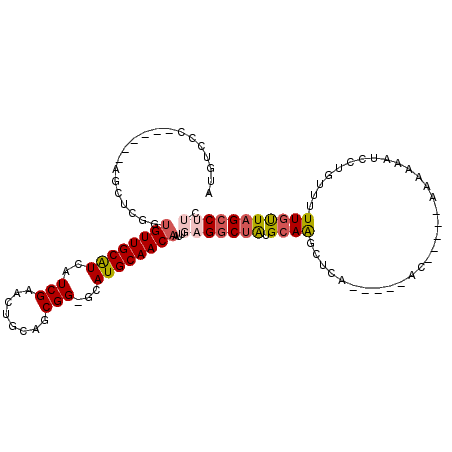 secondary structure