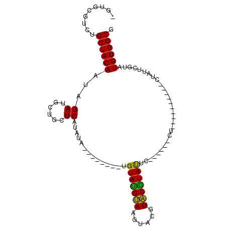 secondary structure
