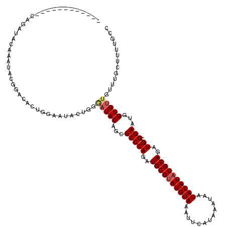 secondary structure