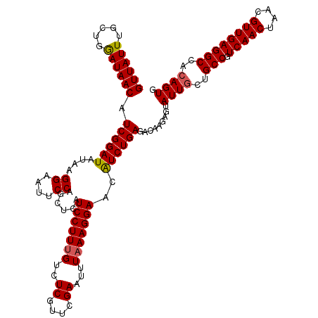secondary structure