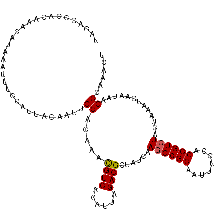 secondary structure