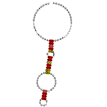 secondary structure