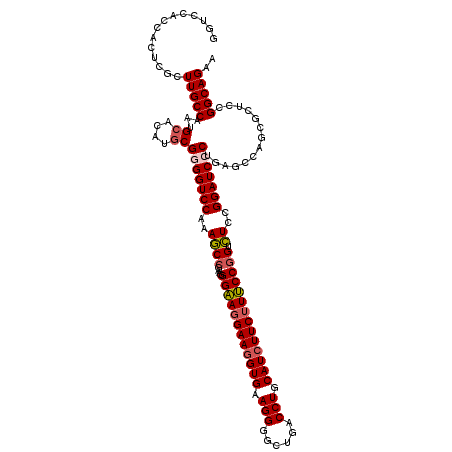 secondary structure