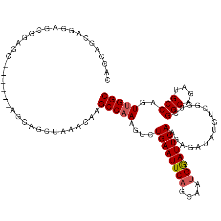 secondary structure
