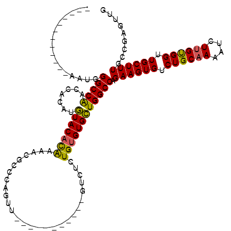 secondary structure