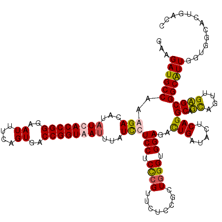 secondary structure