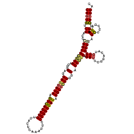secondary structure