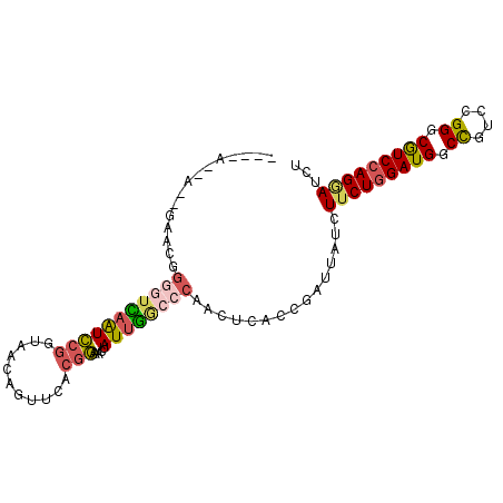 secondary structure
