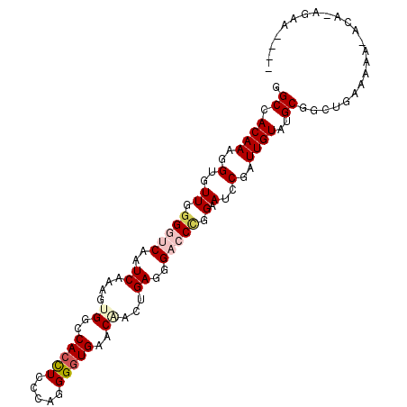 secondary structure