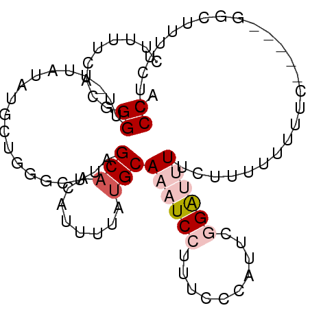 secondary structure