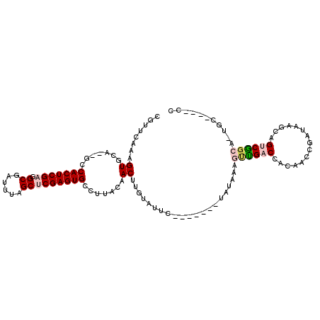 secondary structure