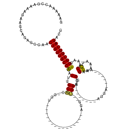 secondary structure