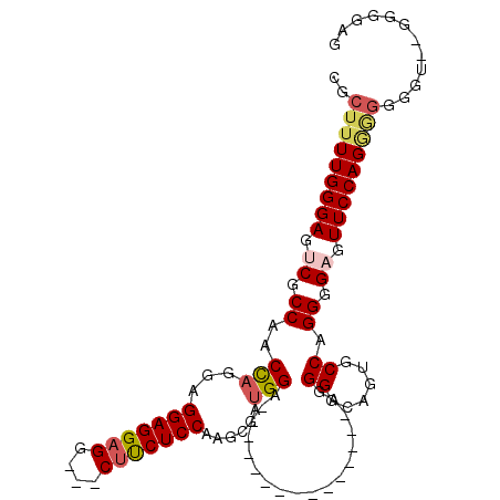 secondary structure