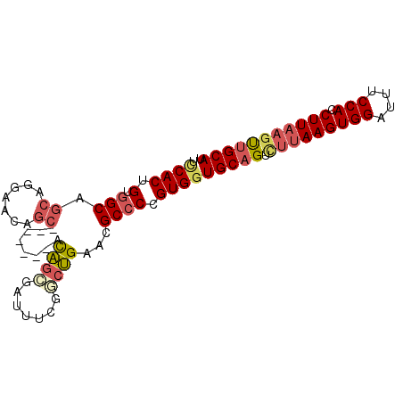 secondary structure