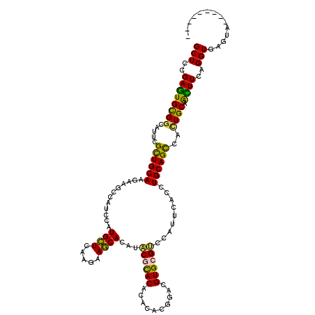 secondary structure