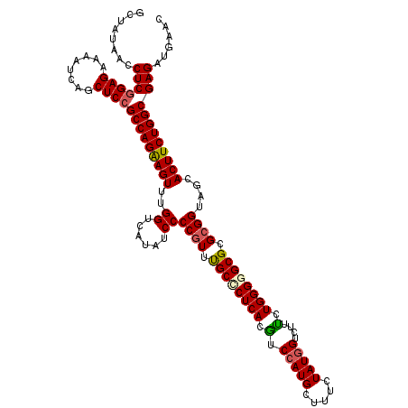 secondary structure