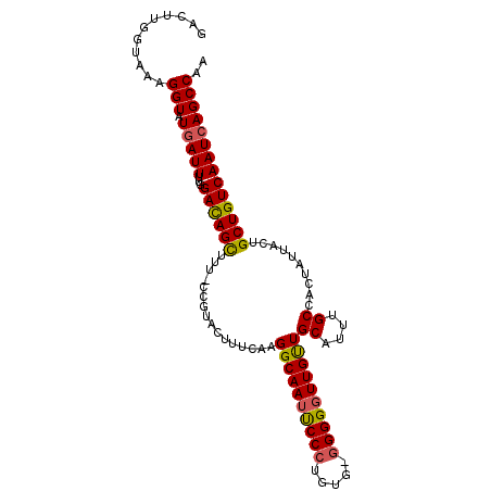 secondary structure