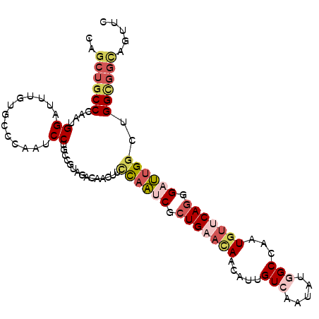 secondary structure