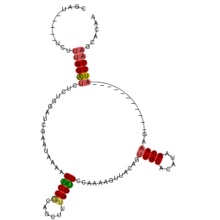 secondary structure