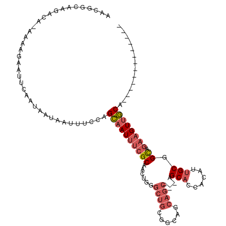 secondary structure