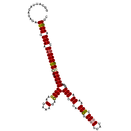 secondary structure