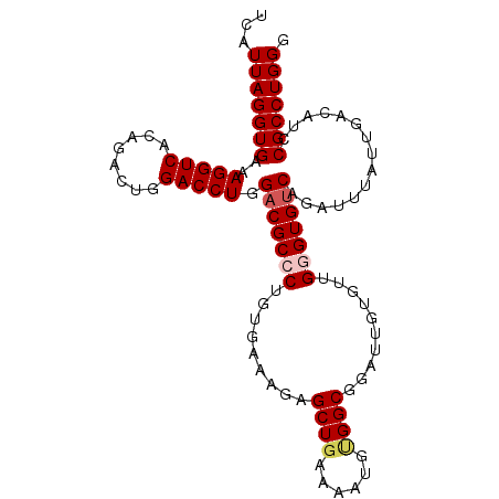 secondary structure