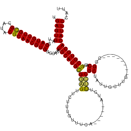 secondary structure