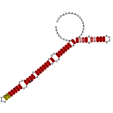 secondary structure
