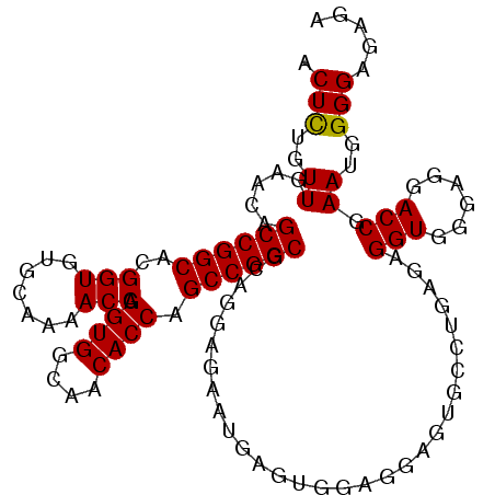 secondary structure
