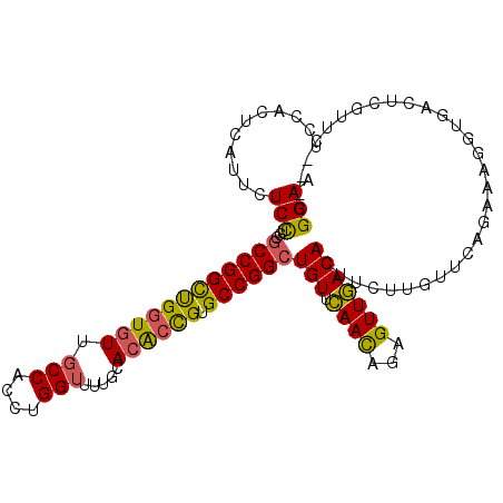 secondary structure