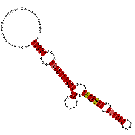 secondary structure