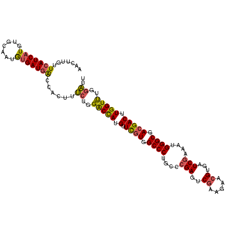 secondary structure